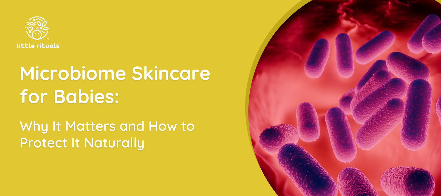 Microbiome Skincare for Babies