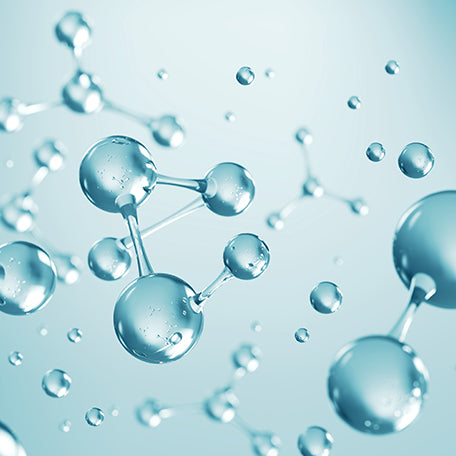 Full Spectrum Ceramides (EOP, NS, NP, AS, AP)