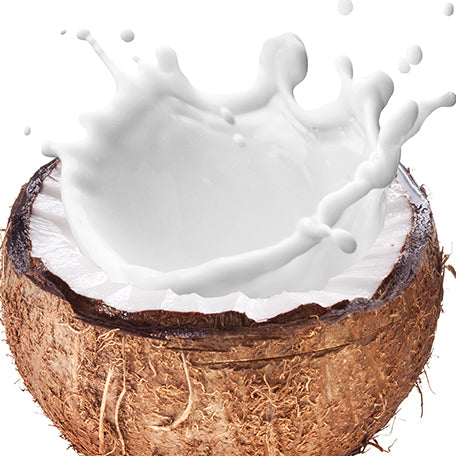 Coconut Milk