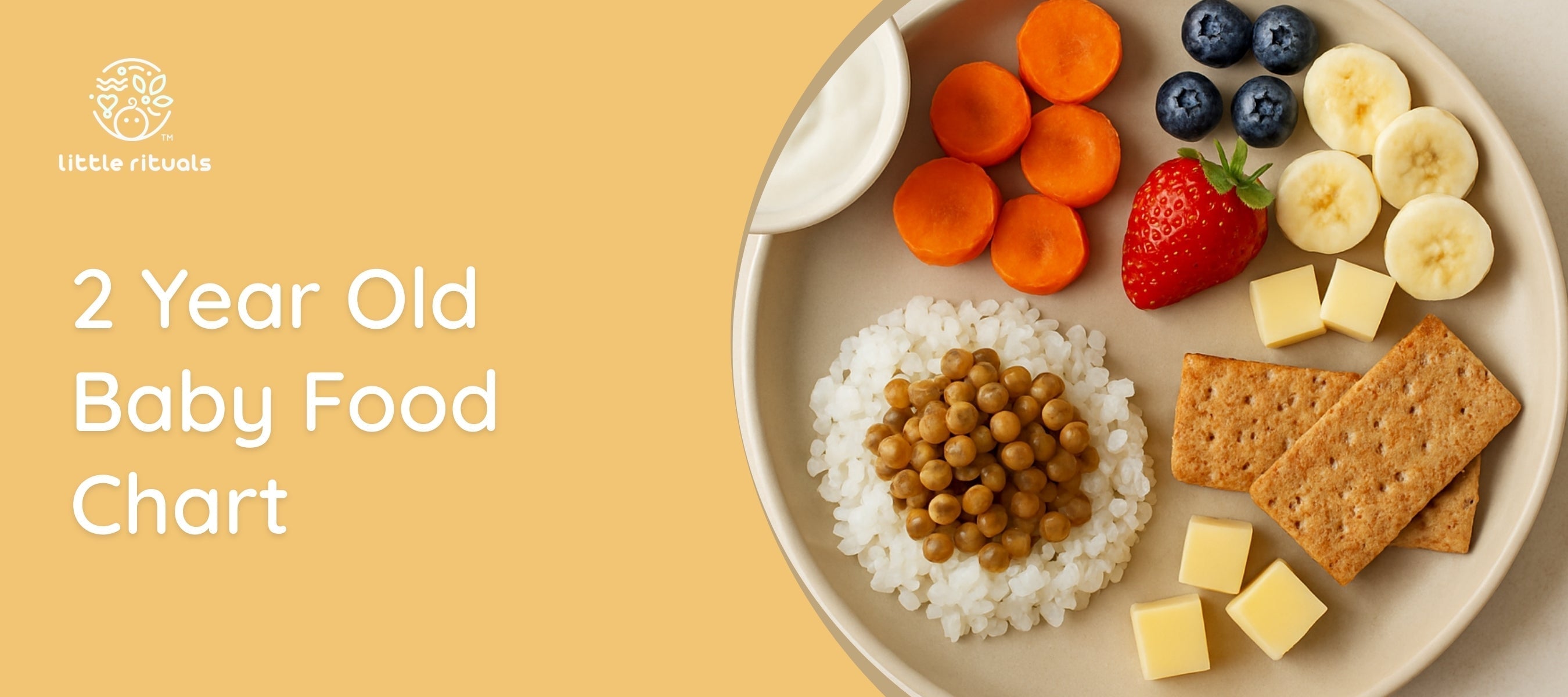 2 year old baby food chart