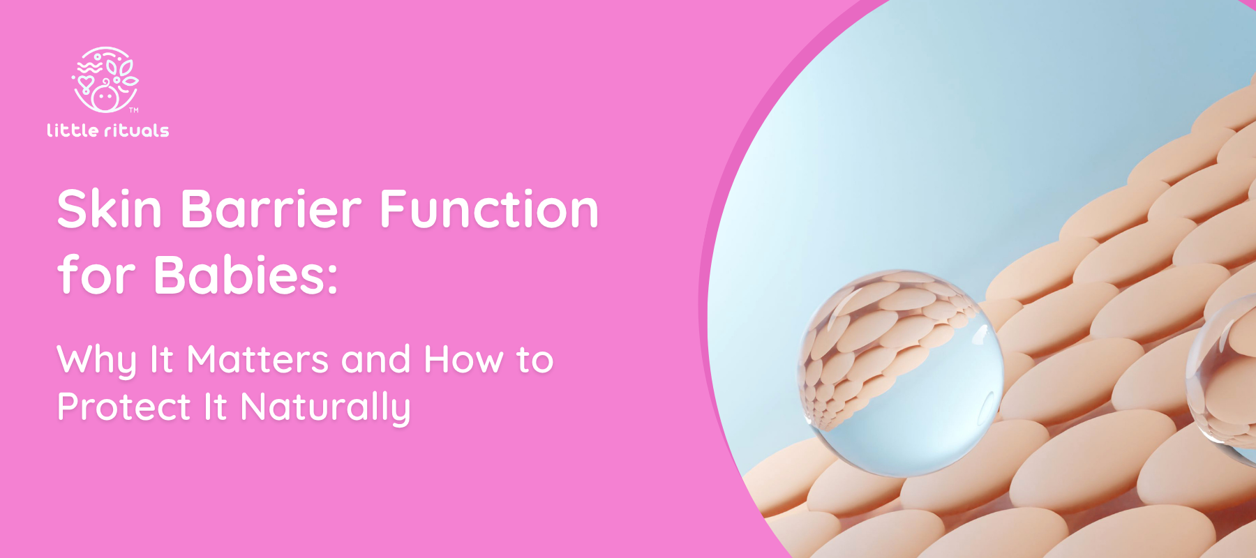Skin Barrier Function for Babies