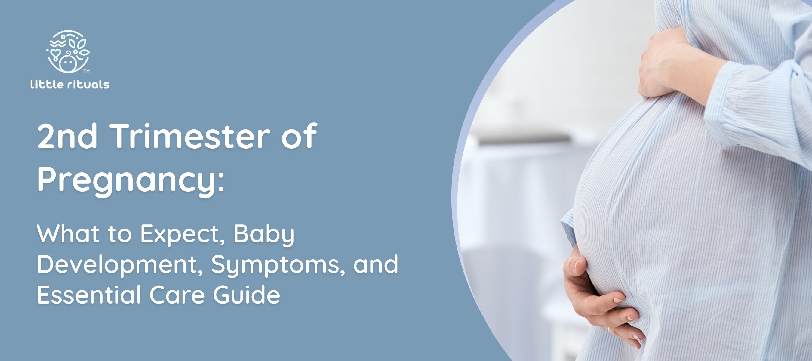 2nd trimester of pregnancy