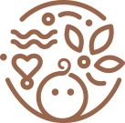 Little Rituals logo
